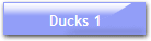 Ducks 1