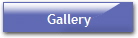 Bird Carvings Gallery