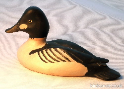 Goldeneye duck - diving duck carvings