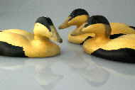 Bird carvings - eider duck carving