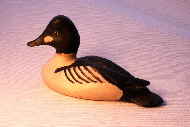 Bird carving - Goldeneye duck carving