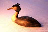 Bird carving - Great-crested grebe carving