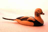Bird carving - long-tailed duck carving