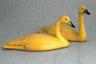 Bird carvings - whooper swan carvings