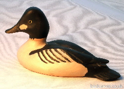 Goldeneye duck - diving duck carvings