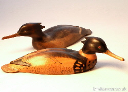 mergansers - sawbill duck carvings