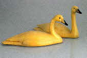 Bird carvings - whooper swan carvings