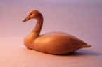 Bewicks swan bird carving