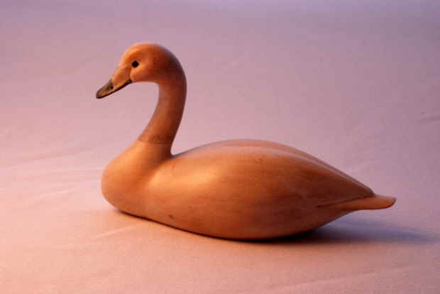Bewicks swan bird carving