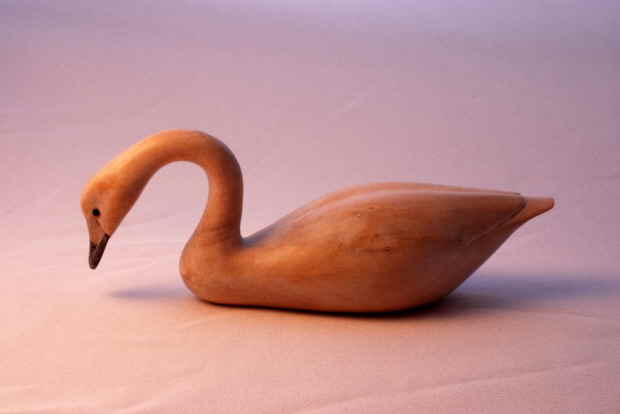 Bewicks swan bird carving