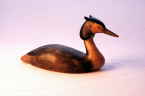 Grebe bird carving