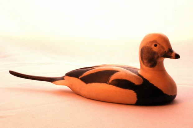 Longtailed duck bird carving