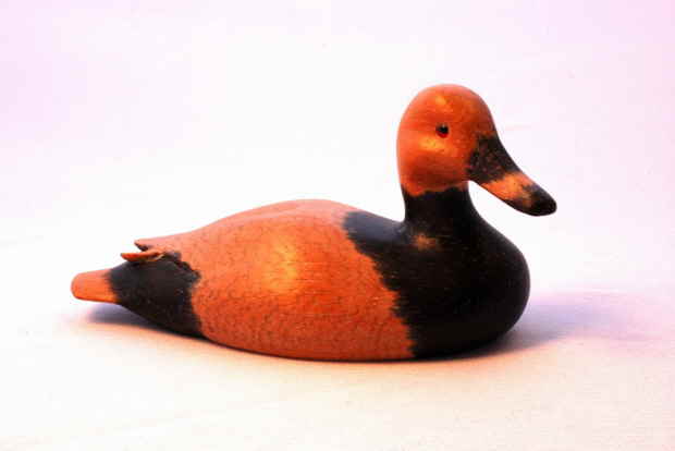 Pochard bird carving