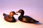 Scoter bird carvings