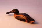 Shoveler bird carving