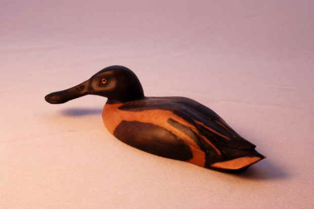 Shoveler bird carving