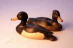 Tufted duck bird carvings