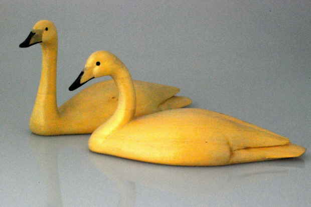 Whooper swan bird carvings