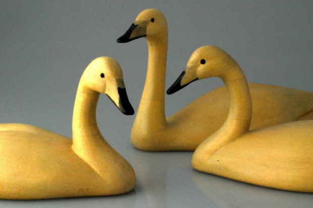 Whooper swan bird carving